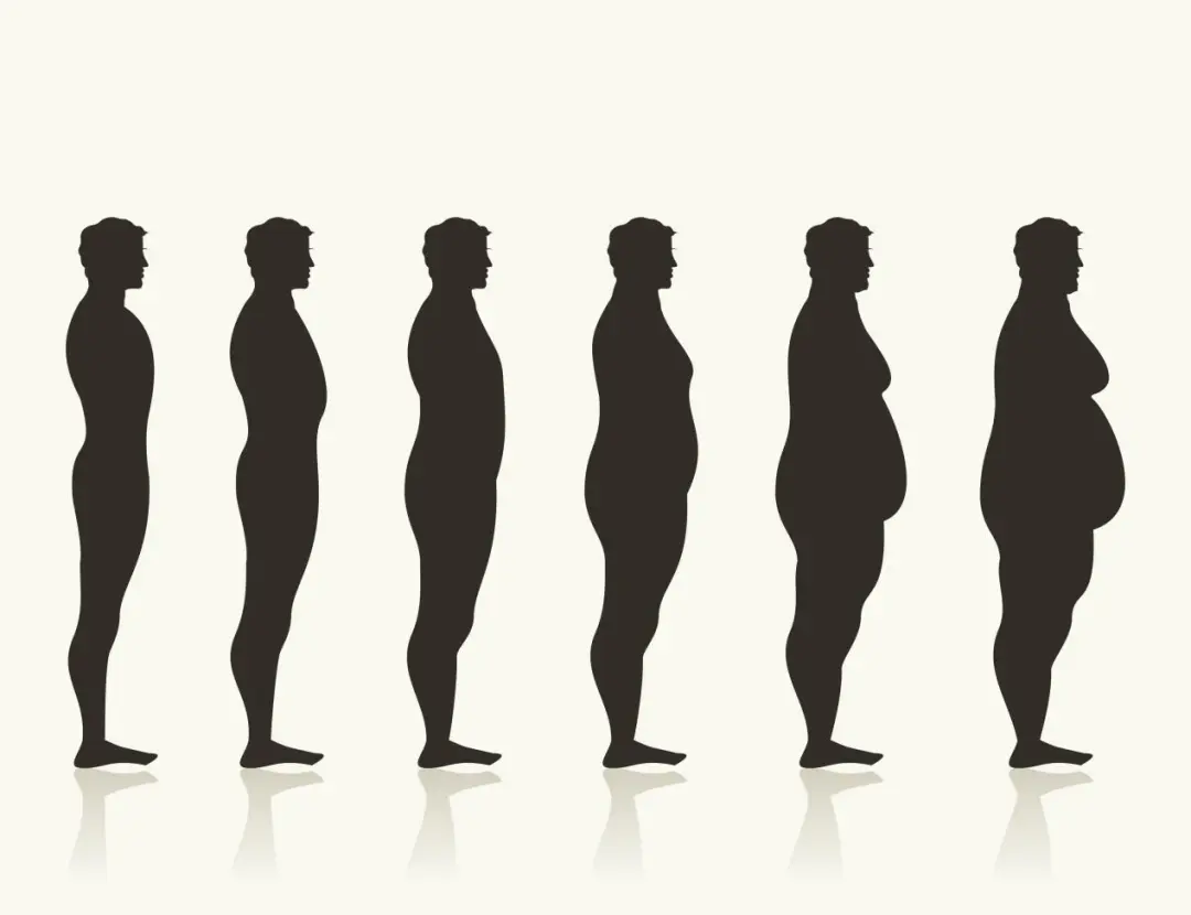 Body composition silhouettes: why fat loss matters more than weight loss